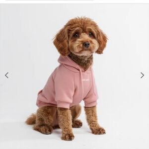 Spark Paws Essential Dog Hoodie NWT - Size XL